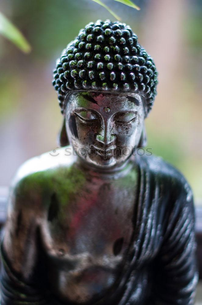 Similar – Buddha meditating on fence post