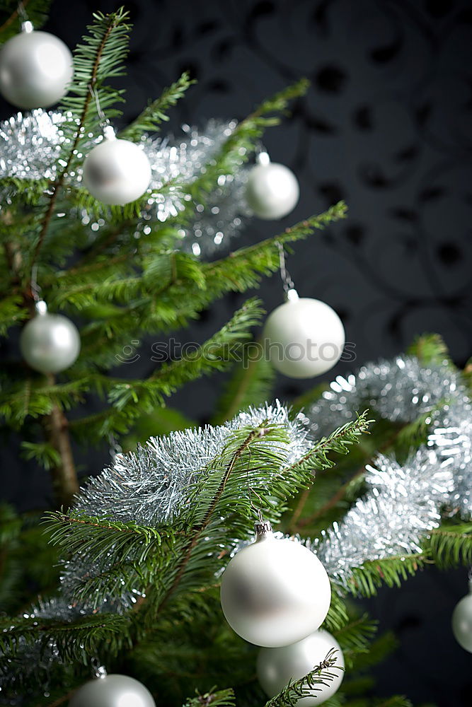 Similar – Image, Stock Photo Nostalgic Christmas decoration with delicate fir branches, red bauble and vases on an old table. Red christmas bauble hangs shiny on twigs. Glowing Christmas bauble hanging from branches in old white nostalgic porcelain pots at home.