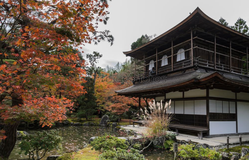 Similar – Image, Stock Photo Traditional Asian building in forest