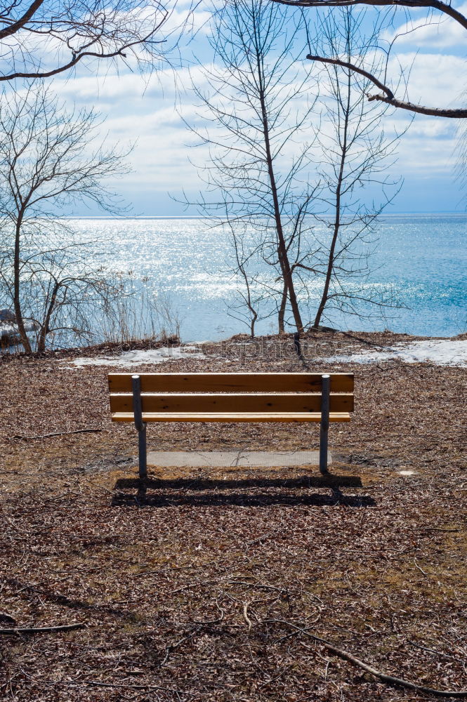 Similar – Image, Stock Photo ship watching Landscape