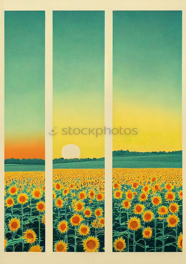 Similar – towards the sun Sunflower