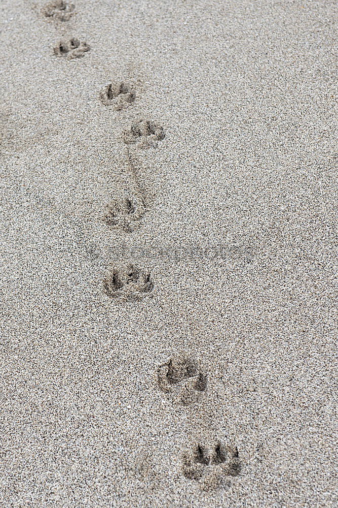 Similar – Image, Stock Photo barefoot Feet Wet Barefoot