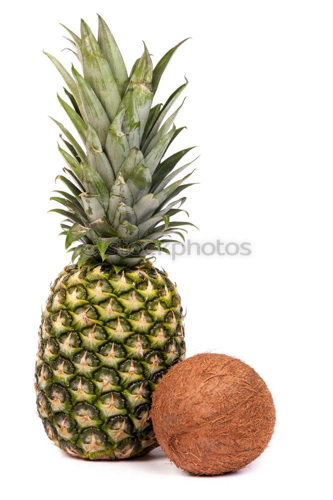 Similar – Image, Stock Photo #AS# Pineapple single wrapped