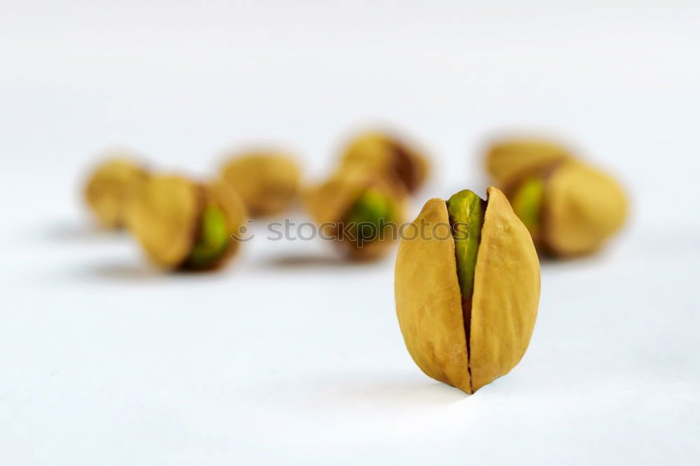 Similar – Image, Stock Photo Barley ears; barley grains; barley; hordeum; vulgare;