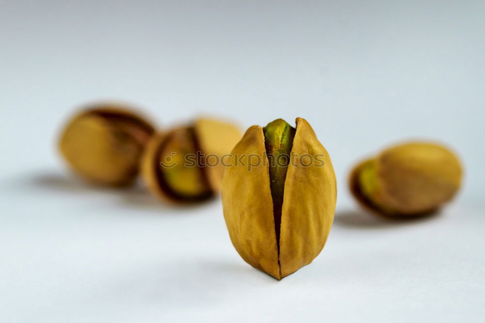 Similar – Image, Stock Photo Barley ears; barley grains; barley; hordeum; vulgare;