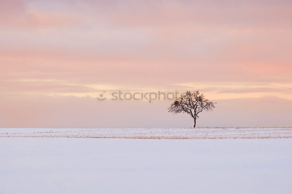 Image, Stock Photo Alone on wide corridor single standing at sunrise