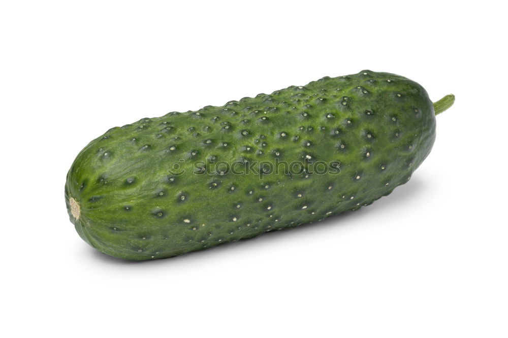 Similar – Jammy cucumber on green