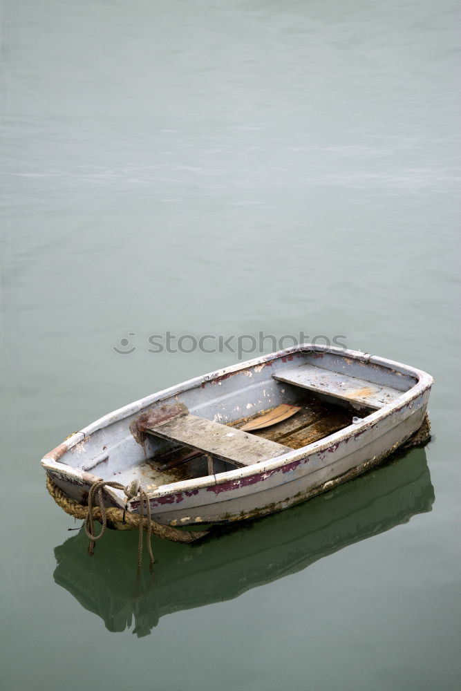 Similar – segelboote Natur Gras