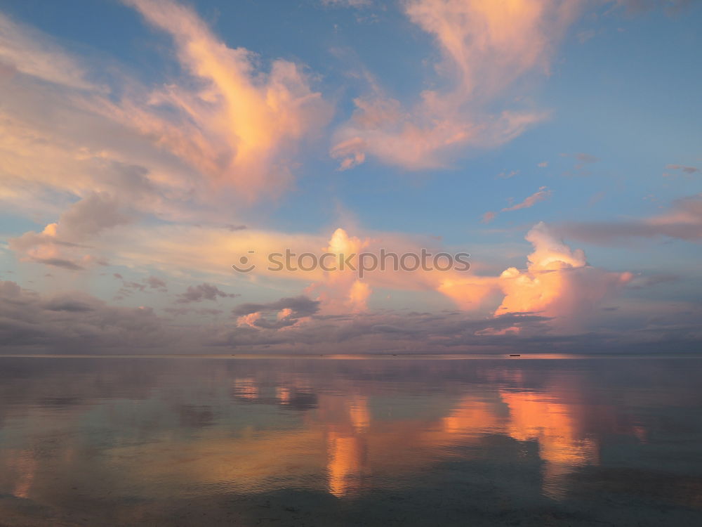 Image, Stock Photo Song Kul lake with horses in sunrise