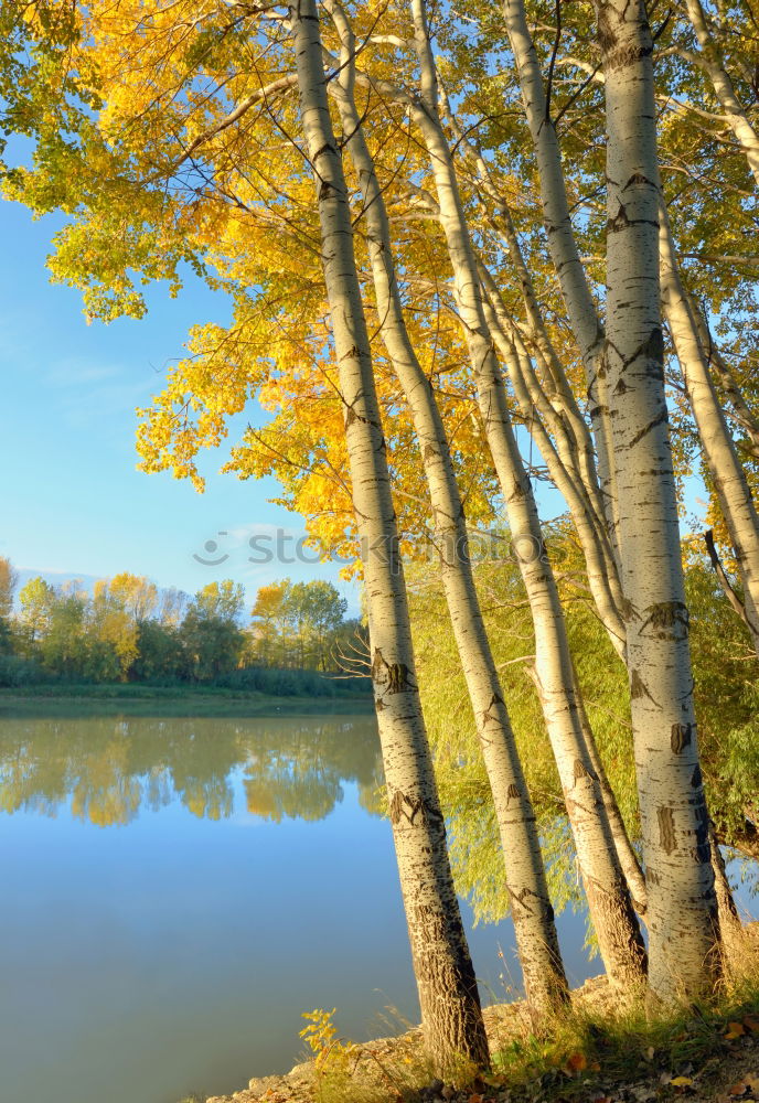 Similar – Foto Bild Bank am See unter Baum im Herbst