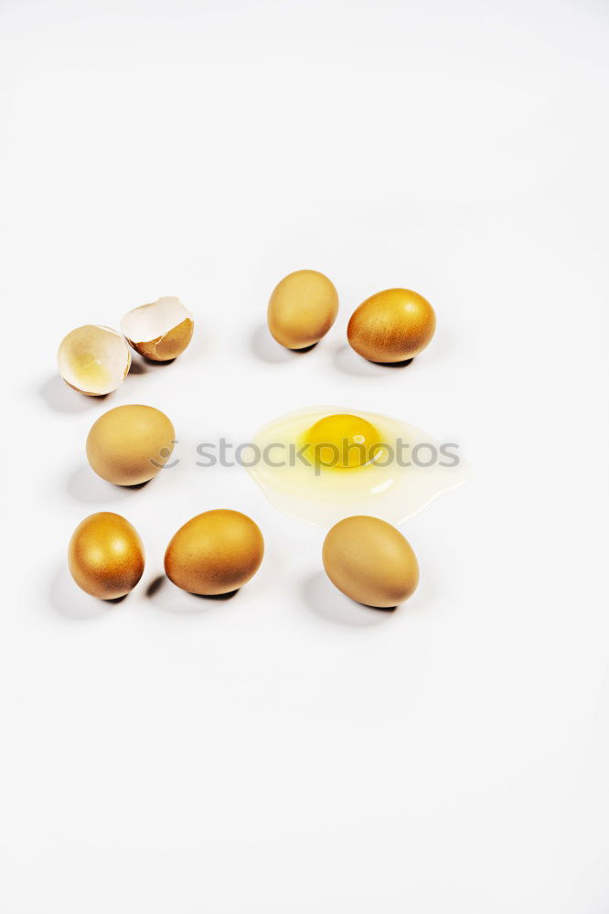 Similar – Egg, egg, egg