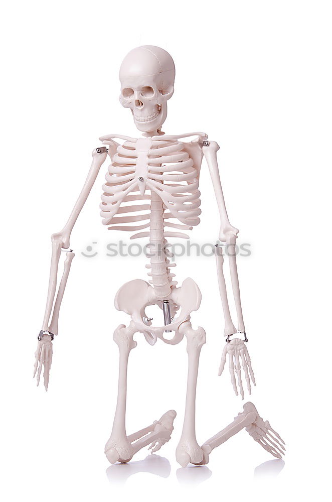 Similar – Image, Stock Photo Skeleton