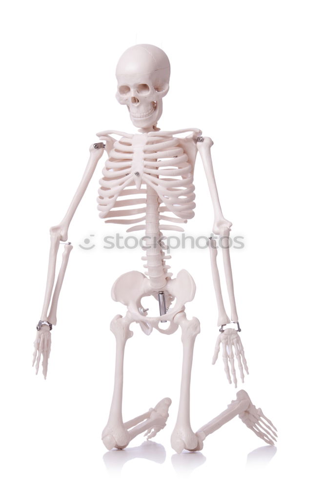 Similar – Image, Stock Photo Foreign being Skeleton