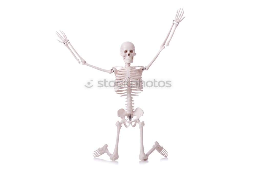 Similar – Image, Stock Photo Foreign being Skeleton