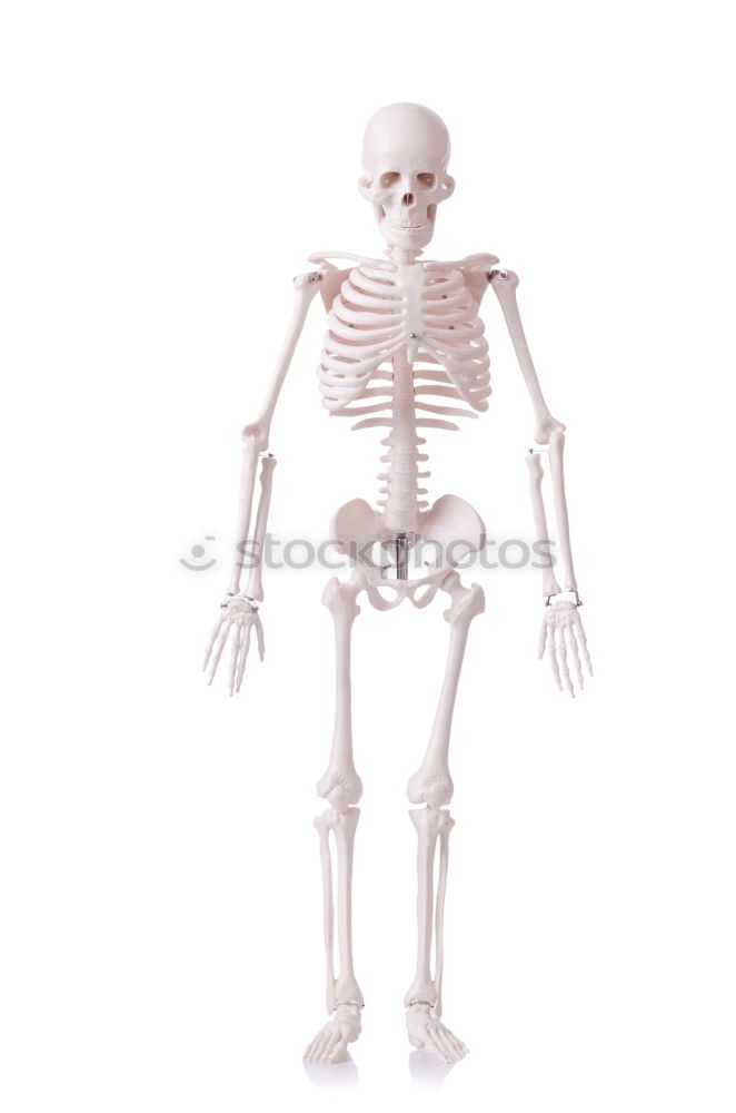 Similar – Image, Stock Photo Foreign being Skeleton