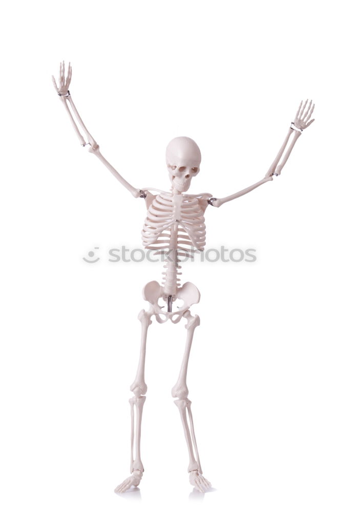 Similar – Image, Stock Photo Foreign being Skeleton