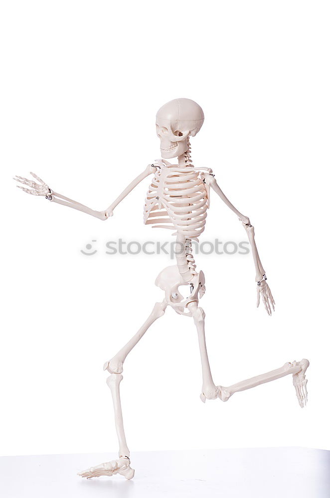 Image, Stock Photo Foreign being Skeleton