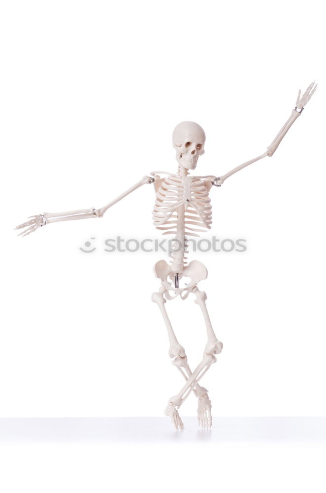 Similar – Image, Stock Photo Foreign being Skeleton