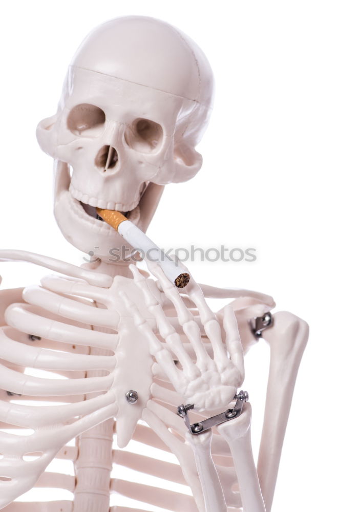 Similar – Image, Stock Photo Skeleton