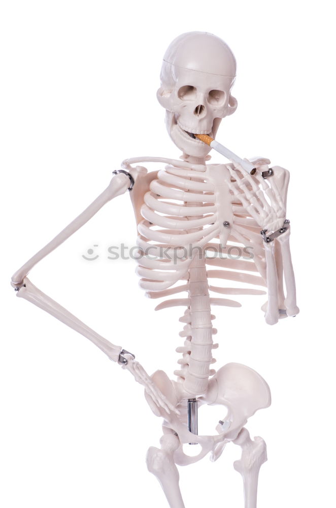 Similar – Image, Stock Photo Skeleton