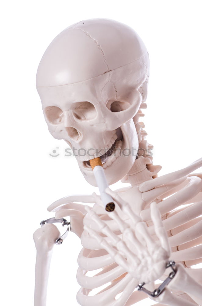 Similar – Image, Stock Photo Skeleton