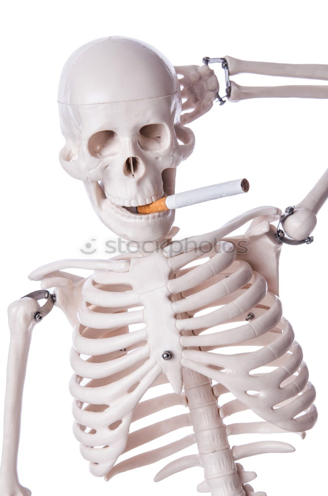 Similar – Image, Stock Photo Foreign being Skeleton