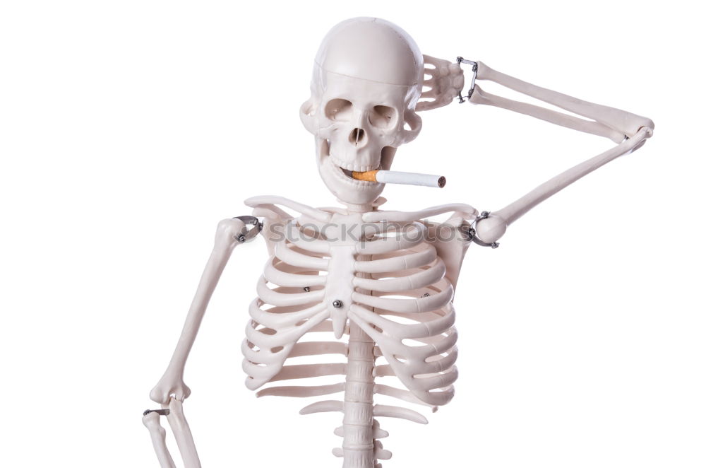 Similar – Image, Stock Photo Skeleton