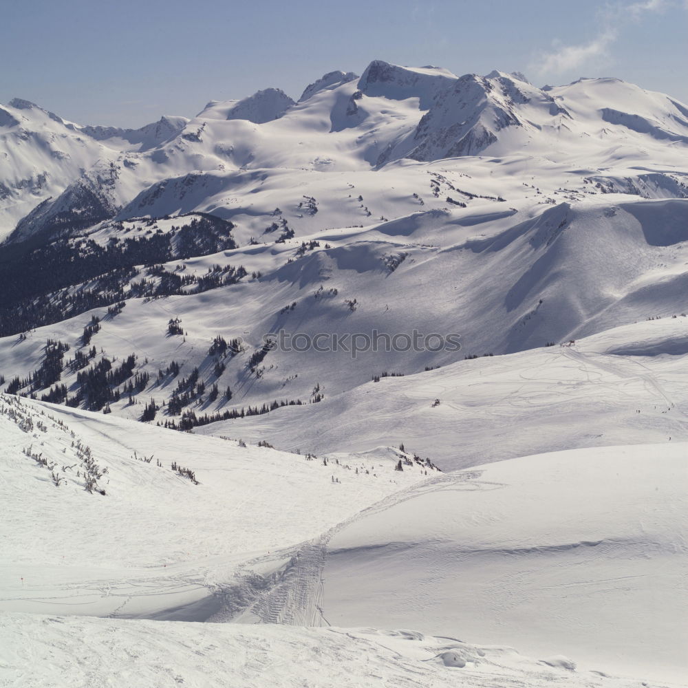 Similar – Gletscher Leben ruhig