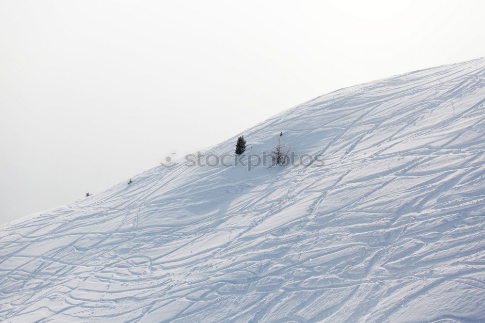 ski_vs_board Mittag