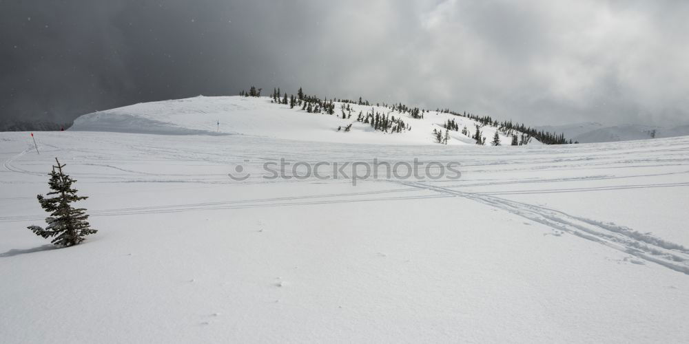 Similar – Image, Stock Photo Cottage in the snow