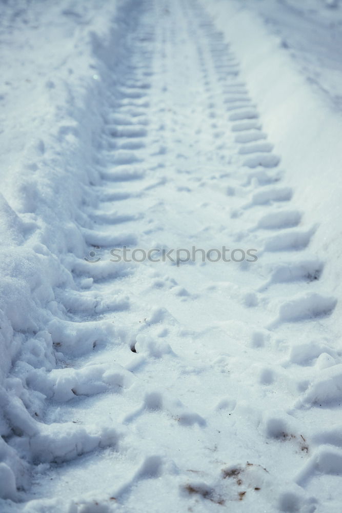 Similar – Image, Stock Photo booze Bad weather Ice