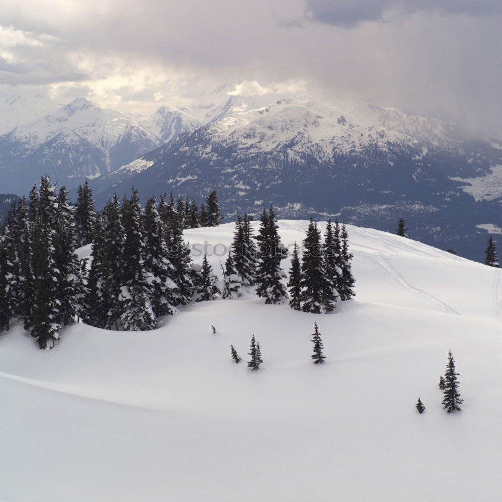 Similar – Foto Bild Spuren im Schnee II