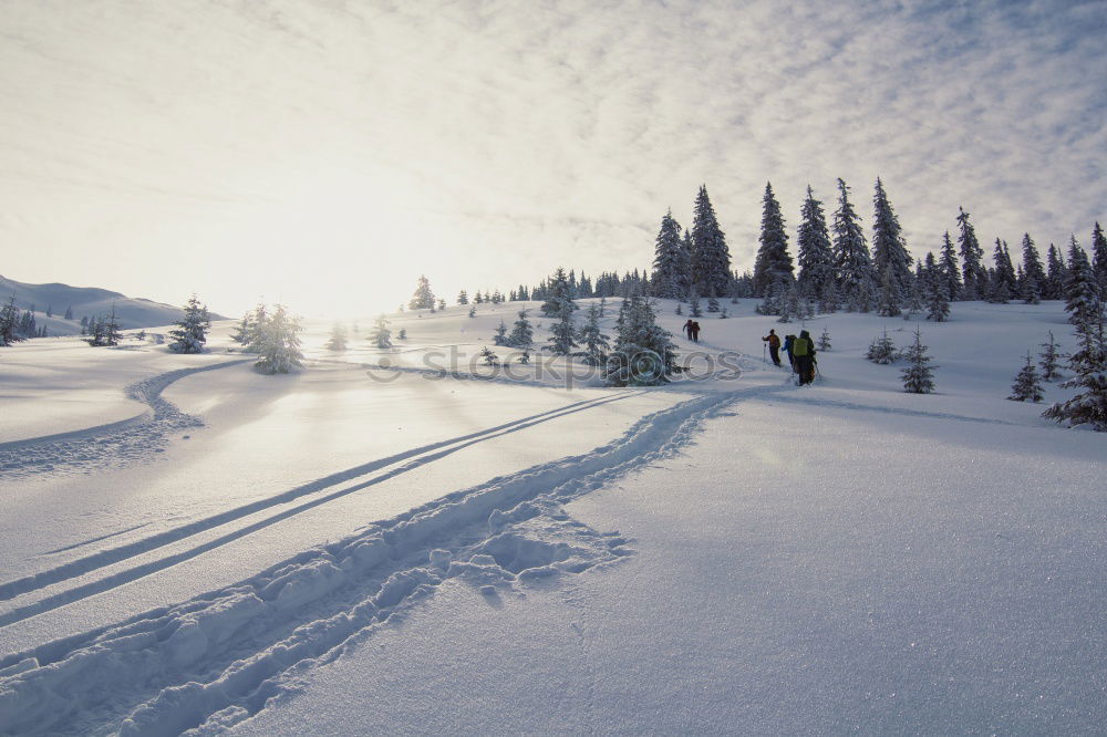 Similar – Image, Stock Photo Cottage in the snow