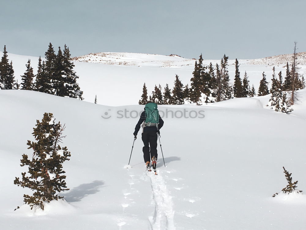 Similar – Image, Stock Photo Tourist with backpack in snowy forest