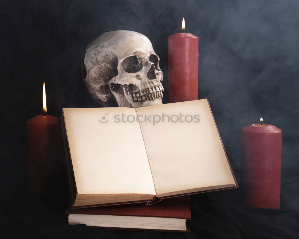 Vanitas with Skull and Tea Set, old Book and Soap Bubbles