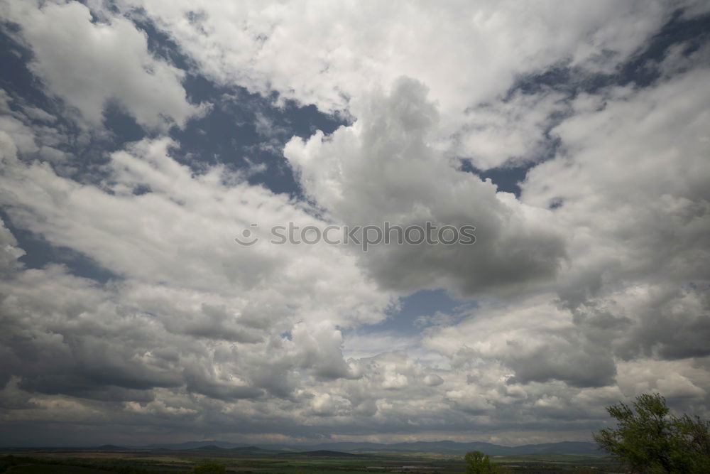 Similar – Image, Stock Photo Landscape Palm Springs III