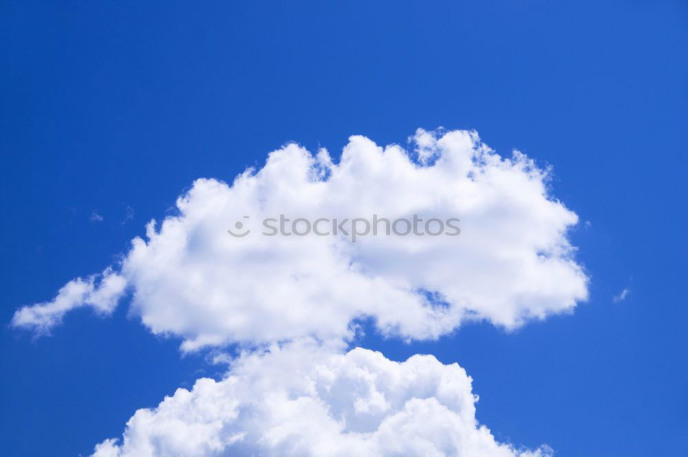 Similar – Image, Stock Photo summer Flower Dandelion