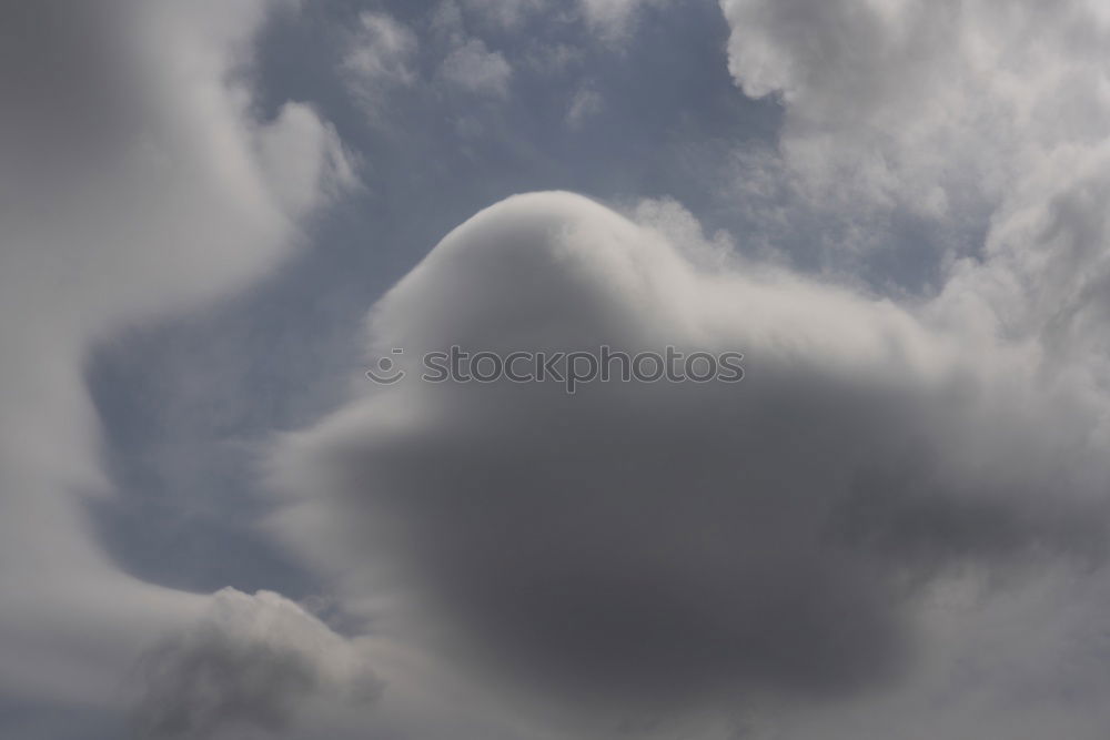 Similar – Image, Stock Photo fluffy baby face