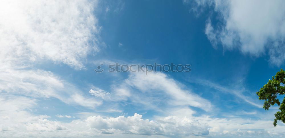 Similar – Image, Stock Photo – grow Plant Tree Bushes