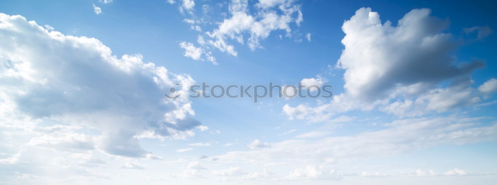 Similar – Image, Stock Photo Half and half Wood Clouds