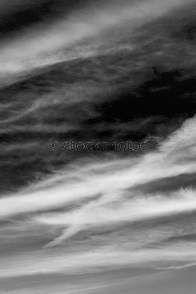 Similar – Image, Stock Photo grass sky Grass Clouds