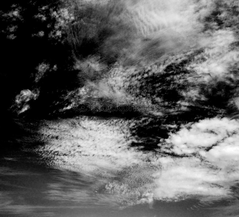 Similar – Image, Stock Photo grass sky Grass Clouds