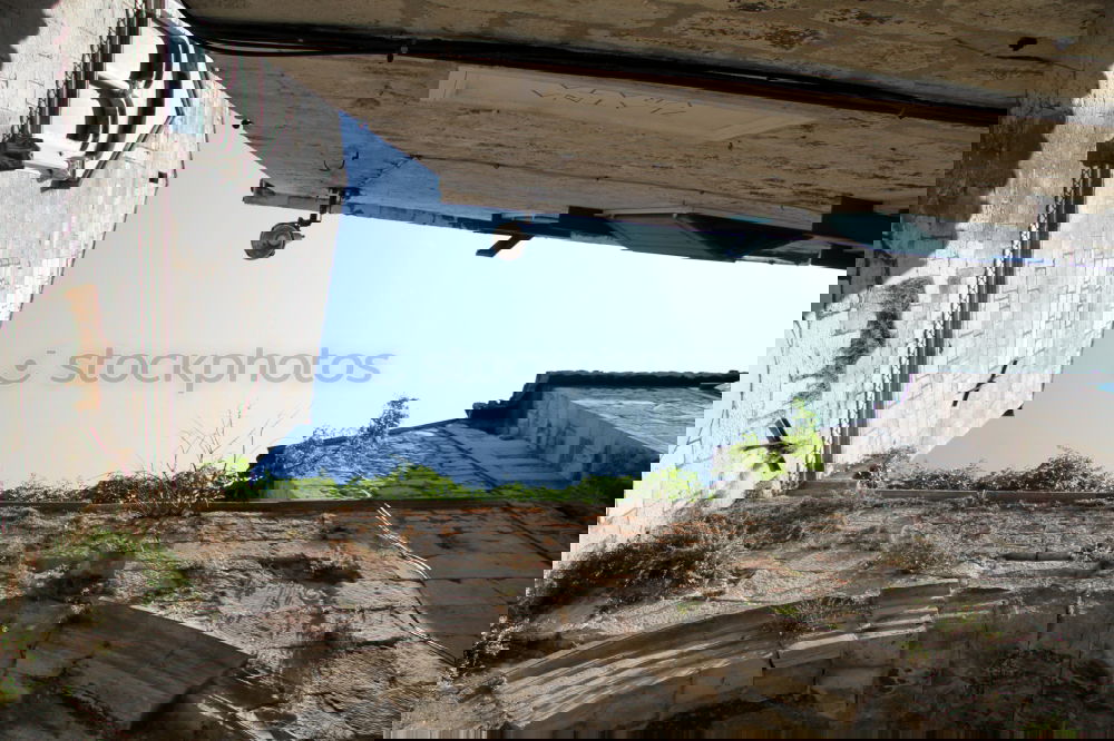 Similar – Foto Bild nachmieter gesucht…