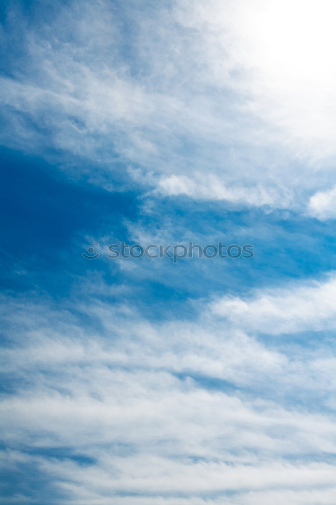 Image, Stock Photo young woman with skateboard