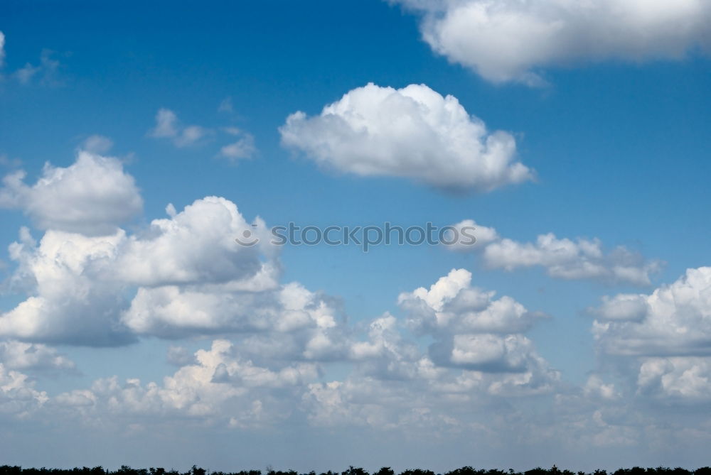 Similar – Image, Stock Photo View over the river Elbe in Magdeburg