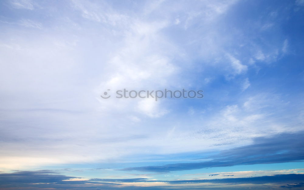 Similar – Image, Stock Photo Grass at the lake Summer