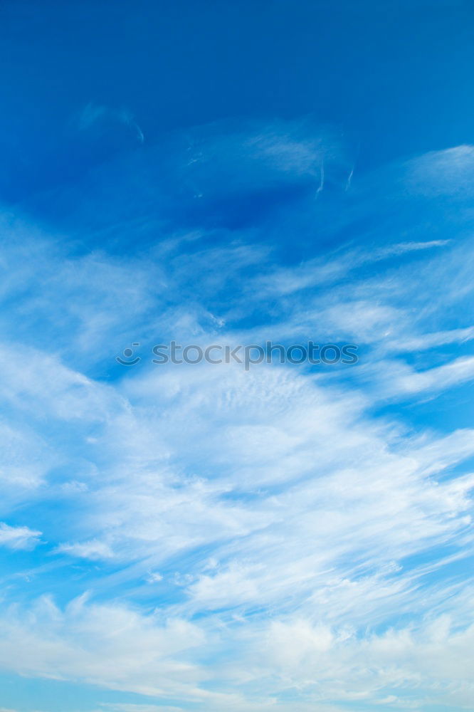 Similar – Image, Stock Photo land on the banks of the river.