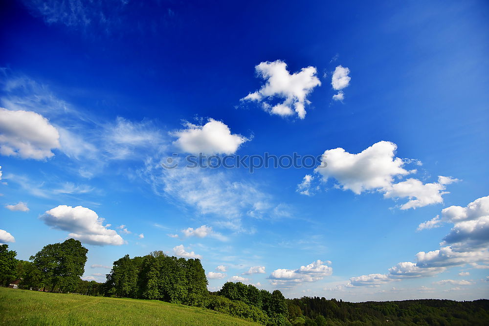 Similar – Image, Stock Photo My friend the tree III