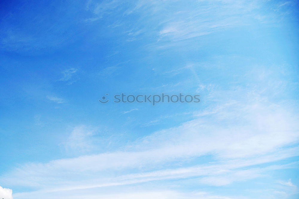 Similar – Looking up Clouds Tree