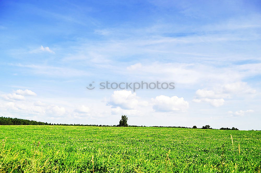 Similar – Image, Stock Photo Lake District Meadow Tree